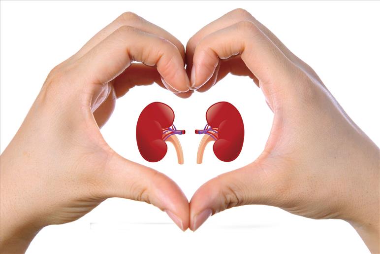 Kidney Diseases and Diet | Dr. Vinod Kumar K